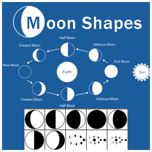 Moon Shape Vectors